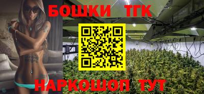 гидра Новодвинск
