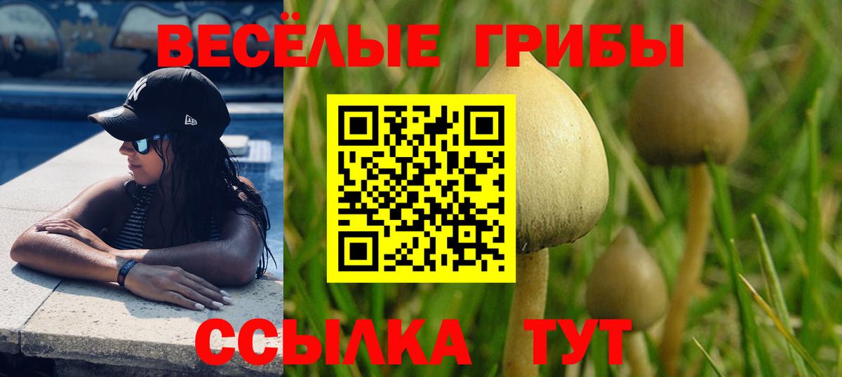Псилоцибиновые грибы Magic Shrooms Туапсе